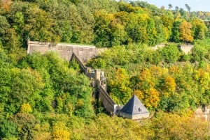 De Bruxelas: Viagem de 1 dia à cidade do Luxemburgo com guia privado