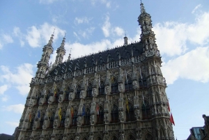 From Brussels: Medieval Leuven Walking Tour