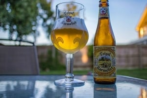 Da Bruxelles: Tour con fiaccole della battaglia di Waterloo di Napoleone