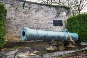 Da Bruxelles: tour dell'ultima campagna di Napoleone in Belgio