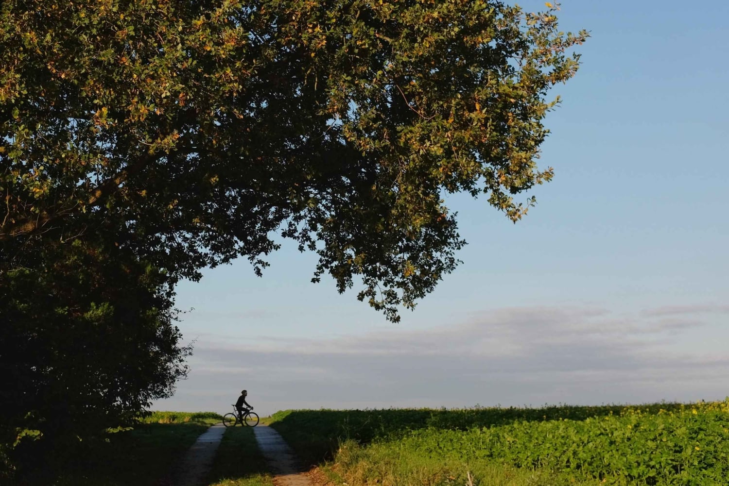 Fra Bruxelles til Flandern 100 km landevejscykeltur