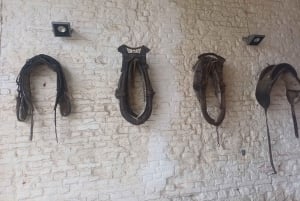 'Da Bruxelles: tour privato della storia del campo di battaglia di Waterloo