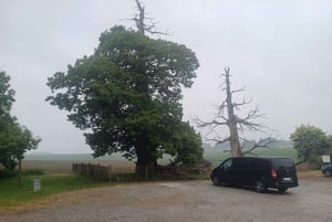 'Da Bruxelles: tour privato della storia del campo di battaglia di Waterloo