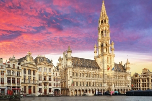 Desde Düsseldorf: Bruselas. Excursión de 1 día, tour privado.