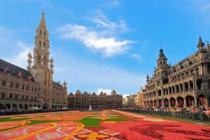 Desde Düsseldorf: Bruselas. Excursión de 1 día, tour privado.