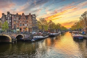 Privat heldagstur til Amsterdam fra Bruxelles