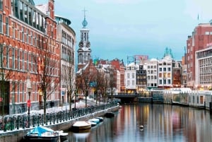Privat heldagstur til Amsterdam fra Brussel