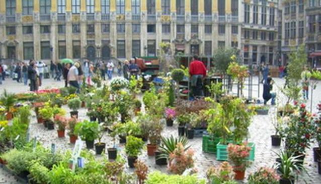 Mercado de flores da Grand Place