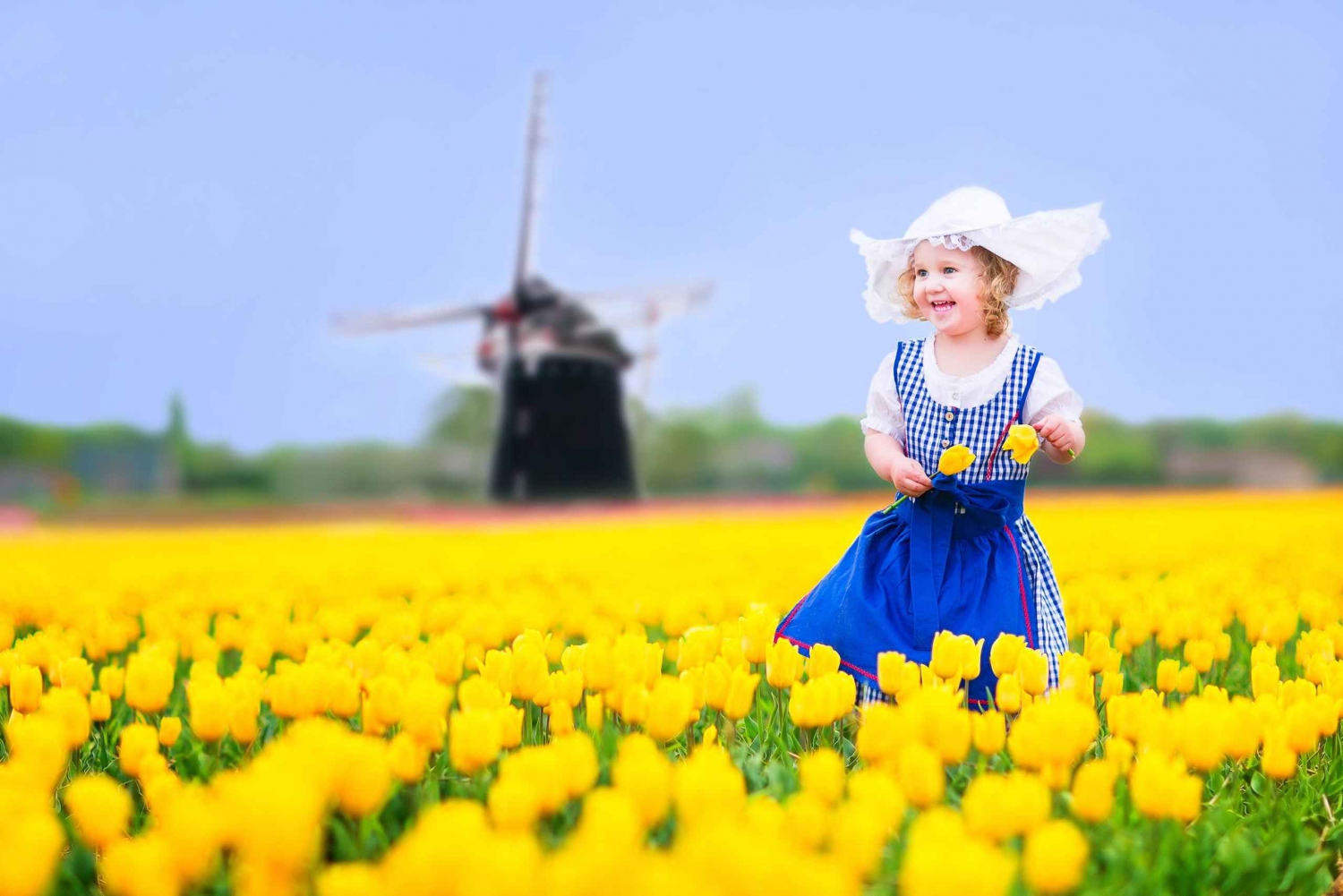 La magie de Delft et le domaine de Keukenhof : Des tulipes à profusion