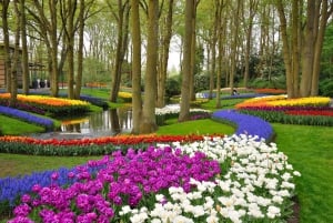 Magiczne Delft i posiadłość Keukenhof: obfitość tulipanów