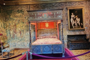 Pariisi Loiren laakson linnat Chambord & Chenonceau -Päiväretki