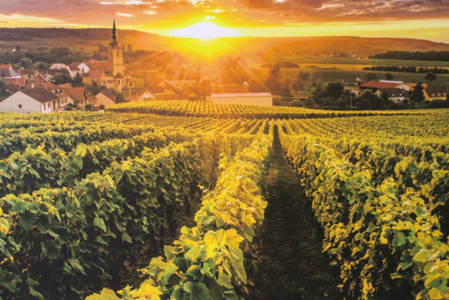 パリVIPシャンパーニュ地方プライベート運転手付き12時間コース