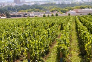 Paris VIP: Champagne Region Private Chauffeur Driven 12hrs