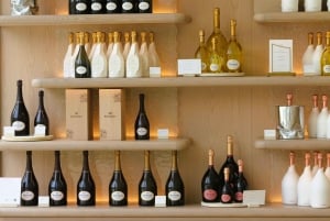 Paris VIP: Champagne Region Private Chauffeur Driven 12hrs