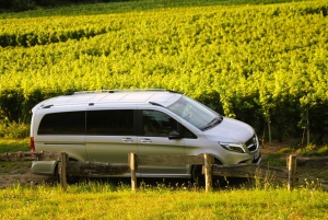 Paris VIP: Champagne Region Private Chauffeur Driven 12hrs