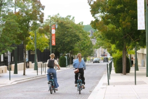 Paris VIP: Champagne Region Private Chauffeur Driven 12hrs