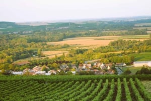 Paris VIP: Champagne Region Private Chauffeur Driven 12hrs