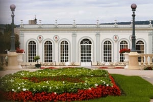 Paris VIP: Champagne Region Private Chauffeur Driven 12hrs