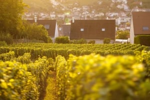 Paris VIP: Champagne Region Private Chauffeur Driven 12hrs