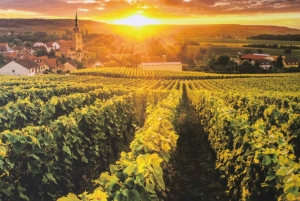 パリVIPシャンパーニュ地方プライベート運転手付き12時間コース