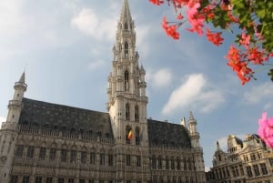 Private Sightseeing Tour to Brussels from Amsterdam