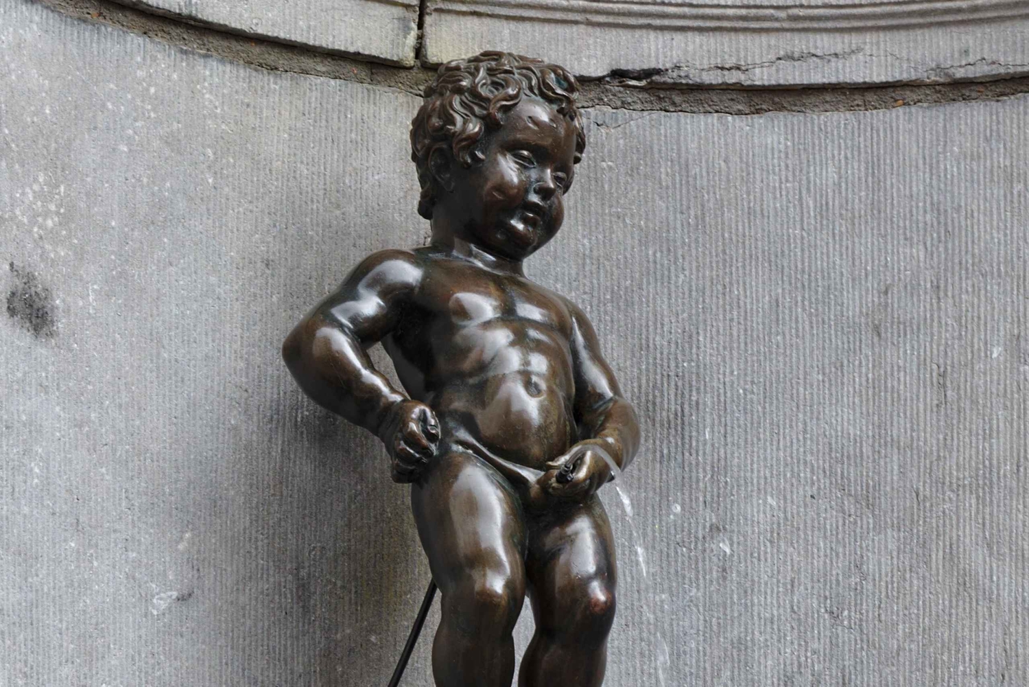 Частный тур: Лучшее в Брюсселе на полдня Из Брюсселя