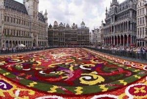Tour privado : Lo mejor de Bruselas medio día Desde Bruselas