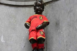 Tour privado : Lo mejor de Bruselas medio día Desde Bruselas