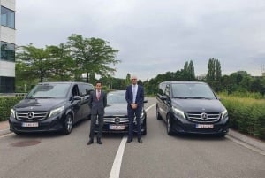 Tour privado : Lo mejor de Bruselas medio día Desde Bruselas