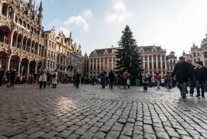 Privétour: beleef de kerstmagie in Brussel