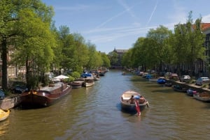 From Brussels: Cheese, Clogs & Windmills Amsterdam Day Trip