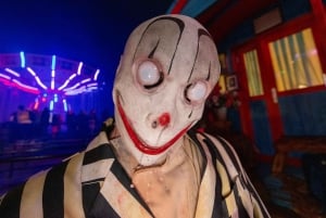 Walibi Belgia Pääsylippu