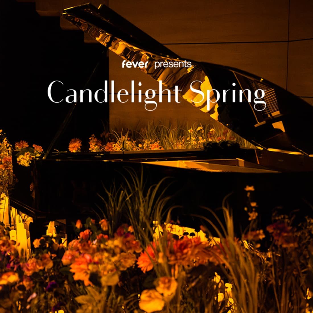 Candlelight Spring: Un hommage Ă  ABBA