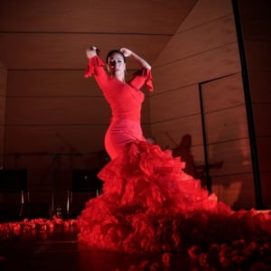We call it Flamenco: a unique Spanish dance show