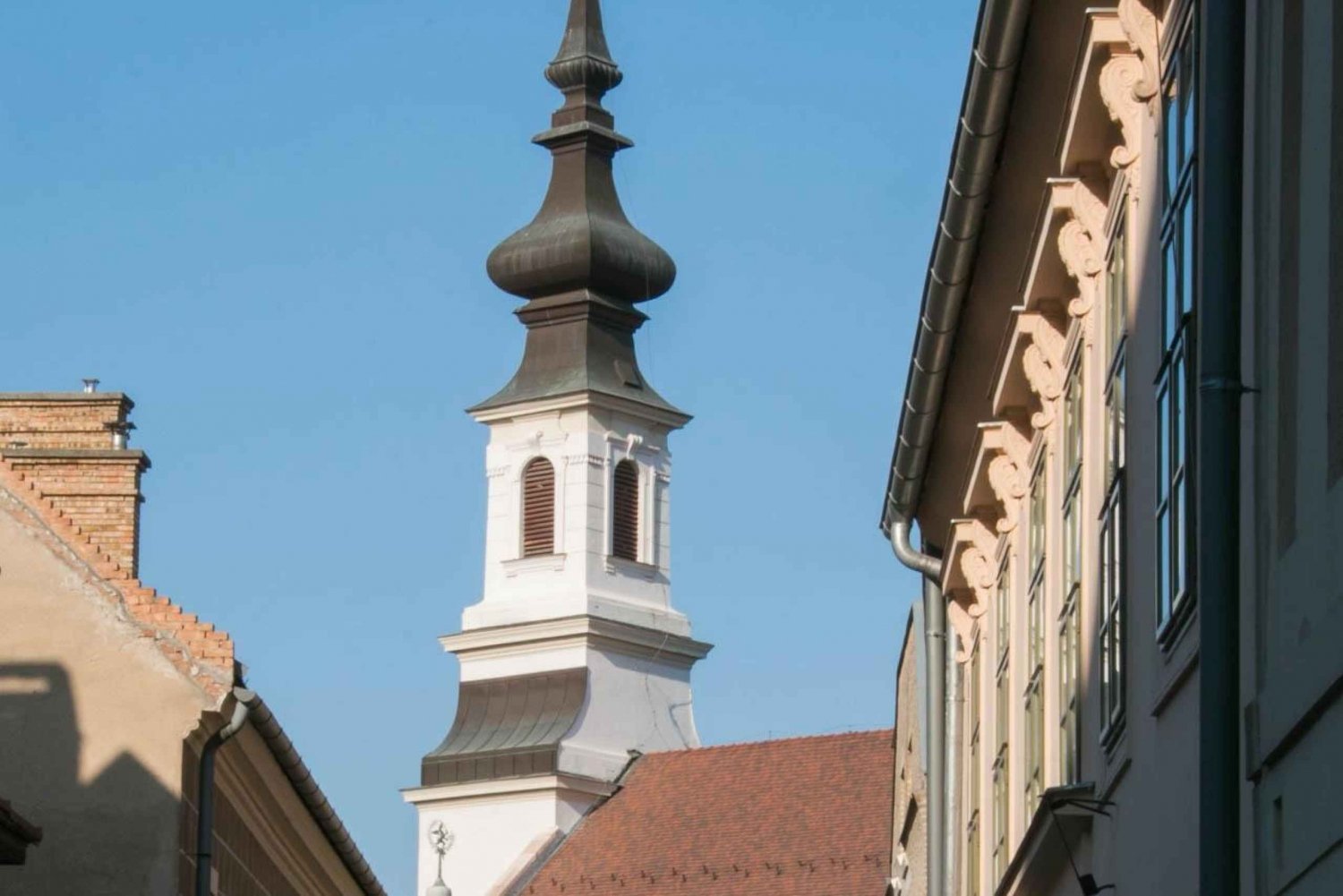 2 Hours Buda Castle Walking Tour - Walk with a Historian