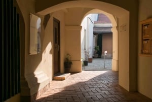 2 Horas Visita a Pie del Castillo de Buda - Paseo con un Historiador