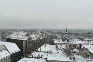 2 Horas Visita a Pie del Castillo de Buda - Paseo con un Historiador