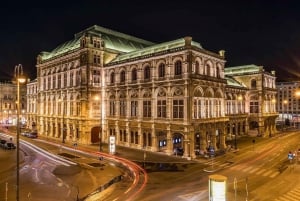 3 hour private tour in Vienna by private car