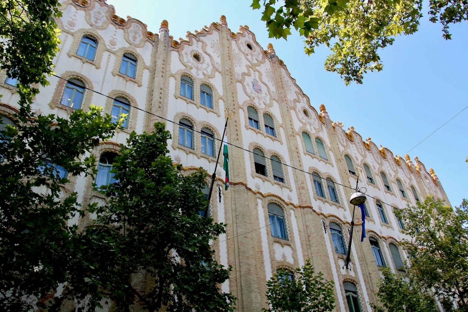 Art Nouveau-tur i Budapest: 3-timmars privat tur