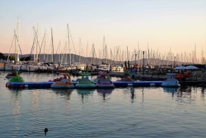 Balaton Full-Day Tour from Budapest