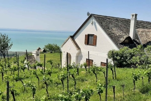 Balaton Full-Day Tour from Budapest