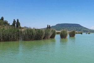 Balaton Full-Day Tour from Budapest