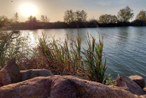 Balaton Full-Day Tour from Budapest