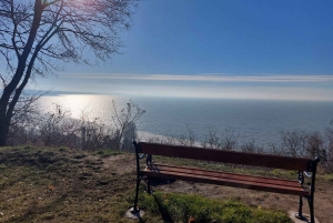 Balaton Full-Day Tour from Budapest