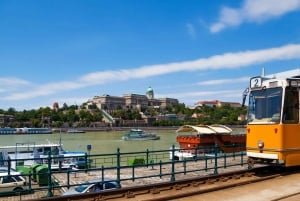 Budapestin parhaat puolet: Budapest: Yksityinen kävelykierros paikallisen kanssa