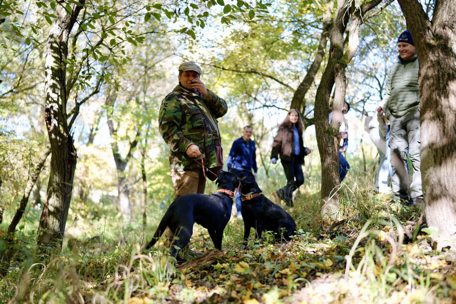 Búsqueda de trufas negras, foie gras y vinos con recogida en Budapest.