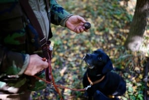 Búsqueda de trufas negras, foie gras y vinos con recogida en Budapest.