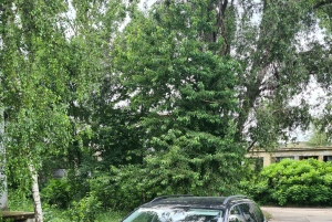 Bratislava: Private Transfer to Budapest with Stops + ticket