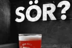 Boedapest: 9-rangs Hongaars & Craft Bierproeverij met hapjes