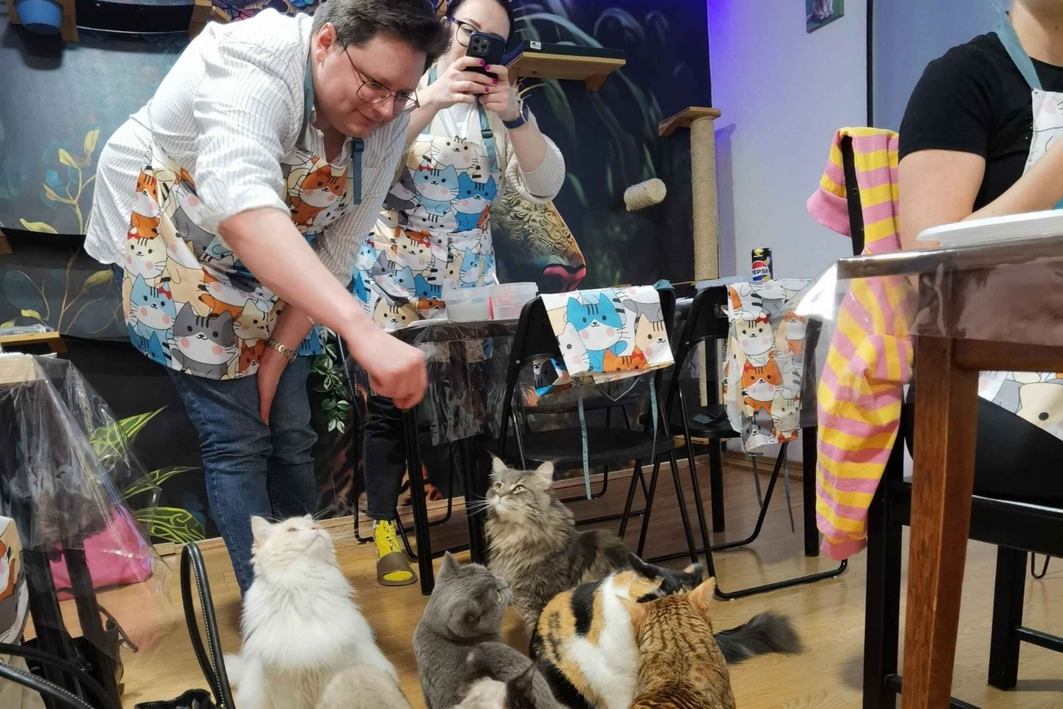 Budapest : Atelier de peinture acrylique au Musée du Chat de Budapest